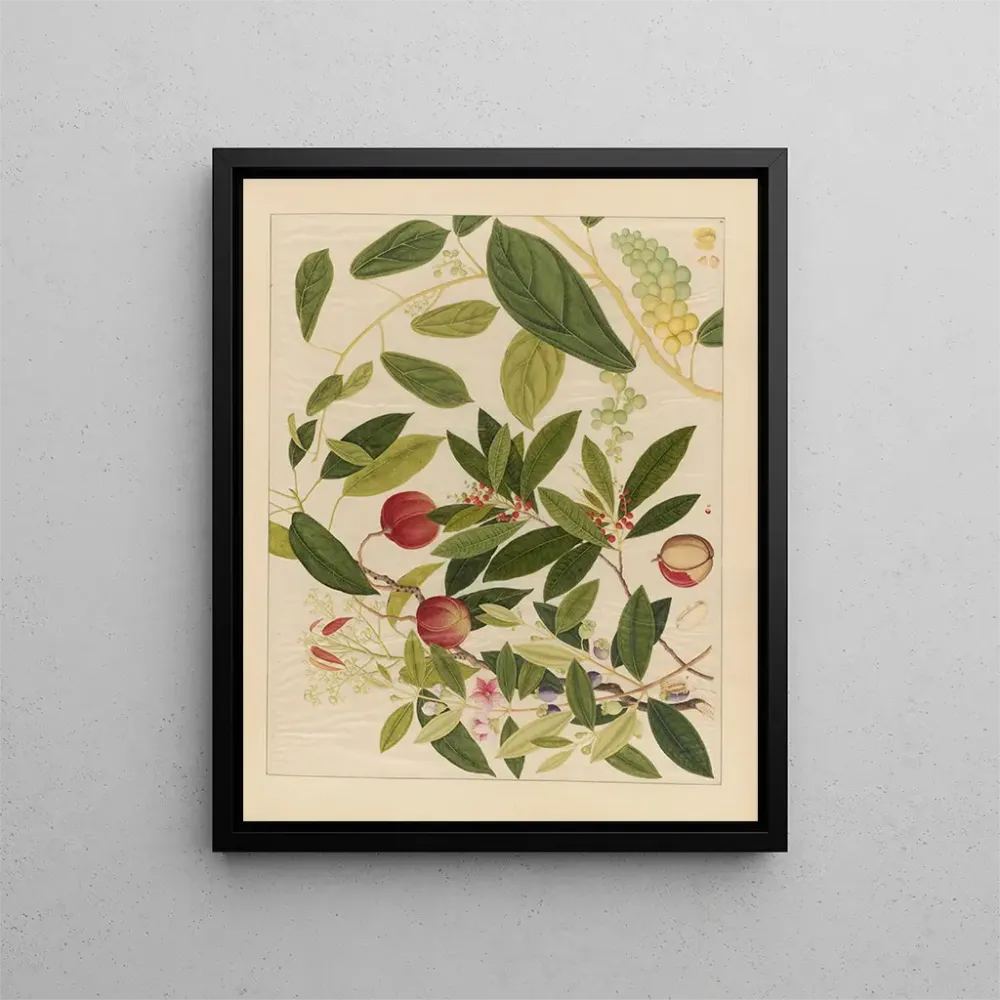 Chinesisches Obst-Aquarell-Album Gemälde Pl09 - Anonym | Kunstdruck