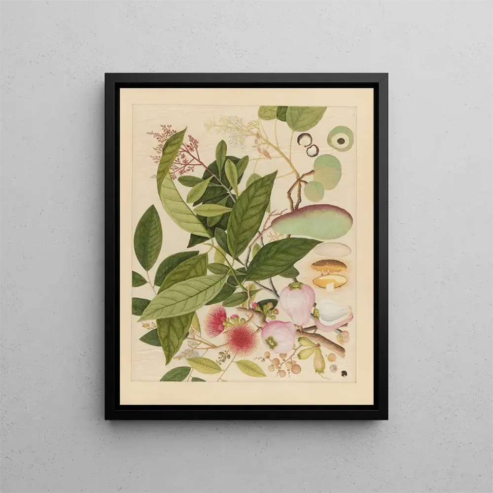 Chinesisches Obst-Aquarell-Album Gemälde Pl12 - Anonym | Kunstdruck