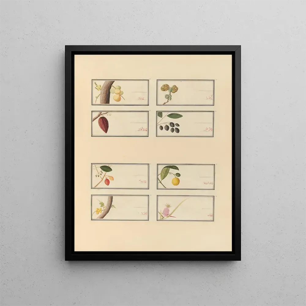 Chinesisches Obst-Aquarell-Album Gemälde Pl26 - Anonym | Kunstdruck