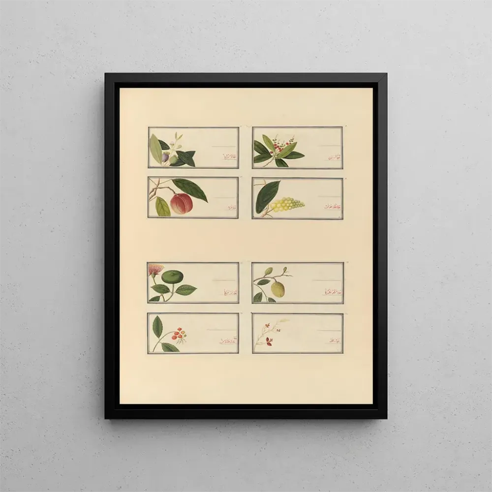Chinesisches Obst-Aquarell-Album Gemälde Pl27 - Anonym | Kunstdruck