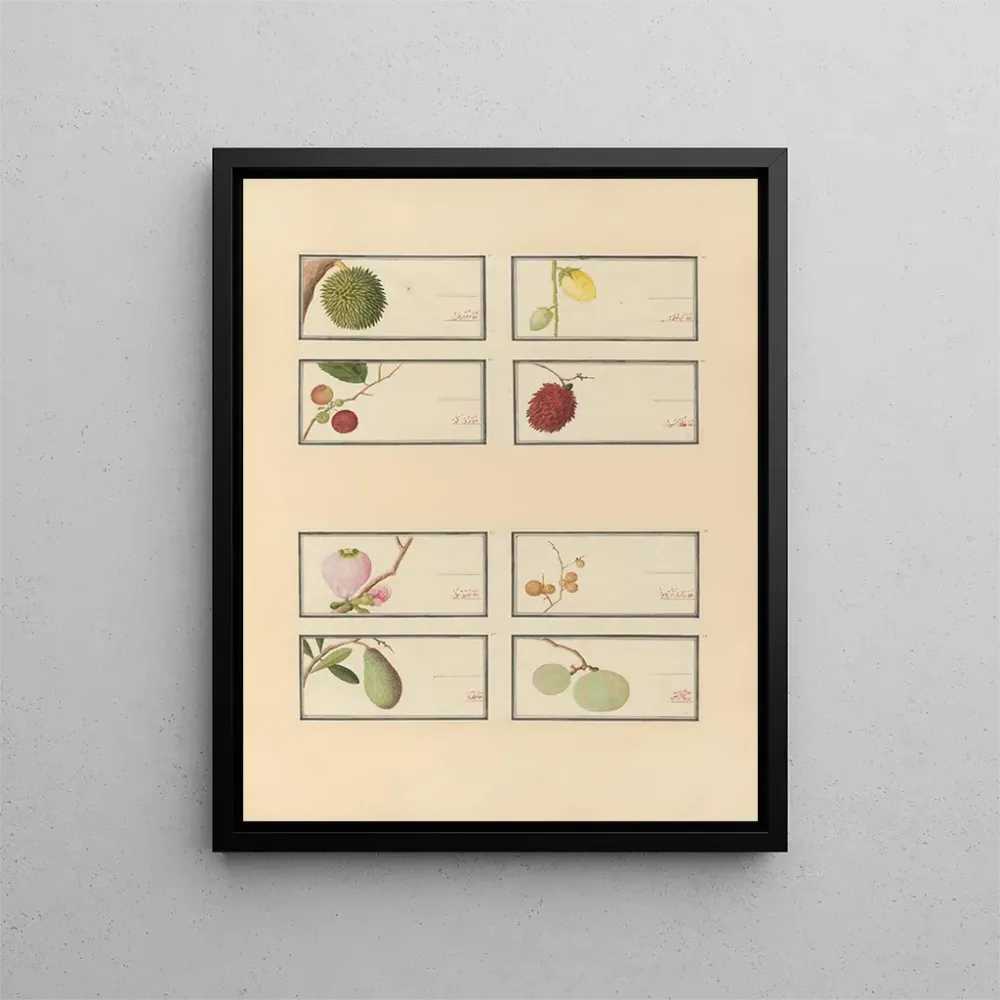 Chinesisches Obst-Aquarell-Album Gemälde Pl28 - Anonym | Kunstdruck