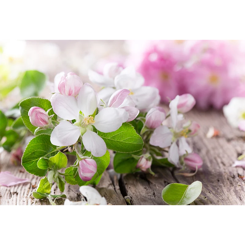 Blumengrafische Wandtapete Rosa, dekorative Wandverkleidung für das Wohnzimmer, nach Maß gefertigt Clearhalo
