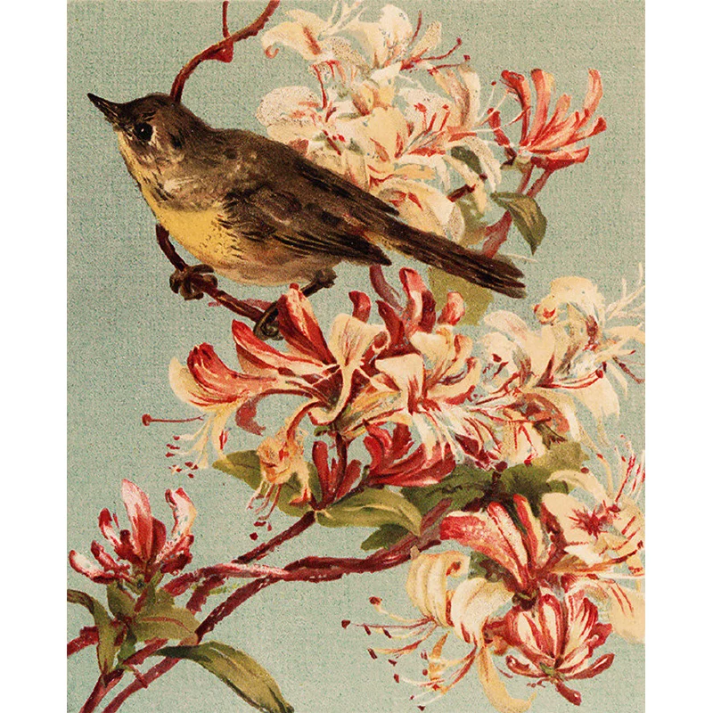 Braune zeitgenössische Wandtapete mit großem Vogel und Blumenzweig, Wandkunst für das Spielzimmer Clearhalo