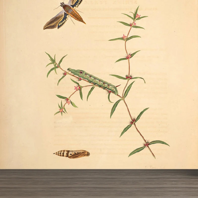 Extra großes botanisches Wandbild Beige, Vlies-Wandkunst für die Inneneinrichtung, personalisierbar Clearhalo