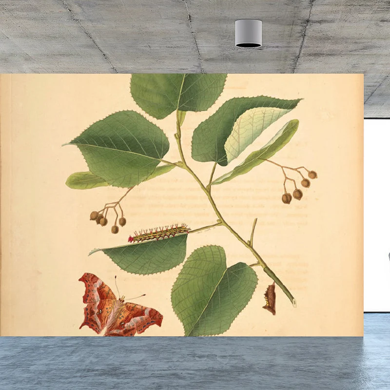 Extra großes botanisches Wandbild Beige, Vlies-Wandkunst für die Inneneinrichtung, personalisierbar Clearhalo