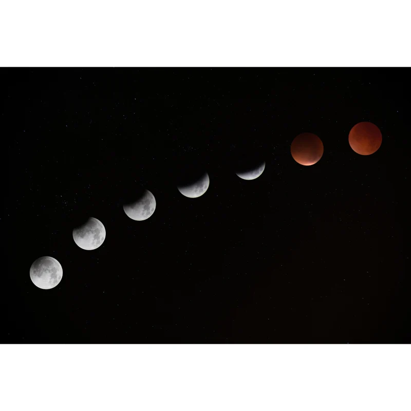 Ganze Astronomie-Wandverkleidung, moderne komplette Mondfinsternis-Wandkunst Schwarz Clearhalo