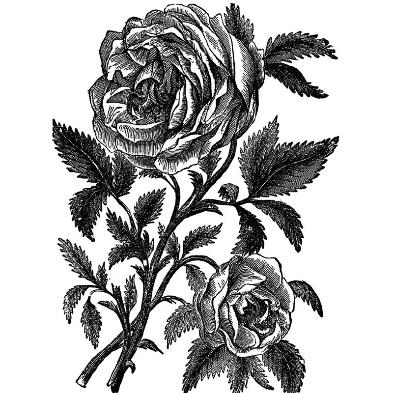 Ganze blühende Rose-Wandbild-Tapete für Wand-Dekor-moderne Mädchen-Schlafzimmer-Wand-Kunst Clearhalo
