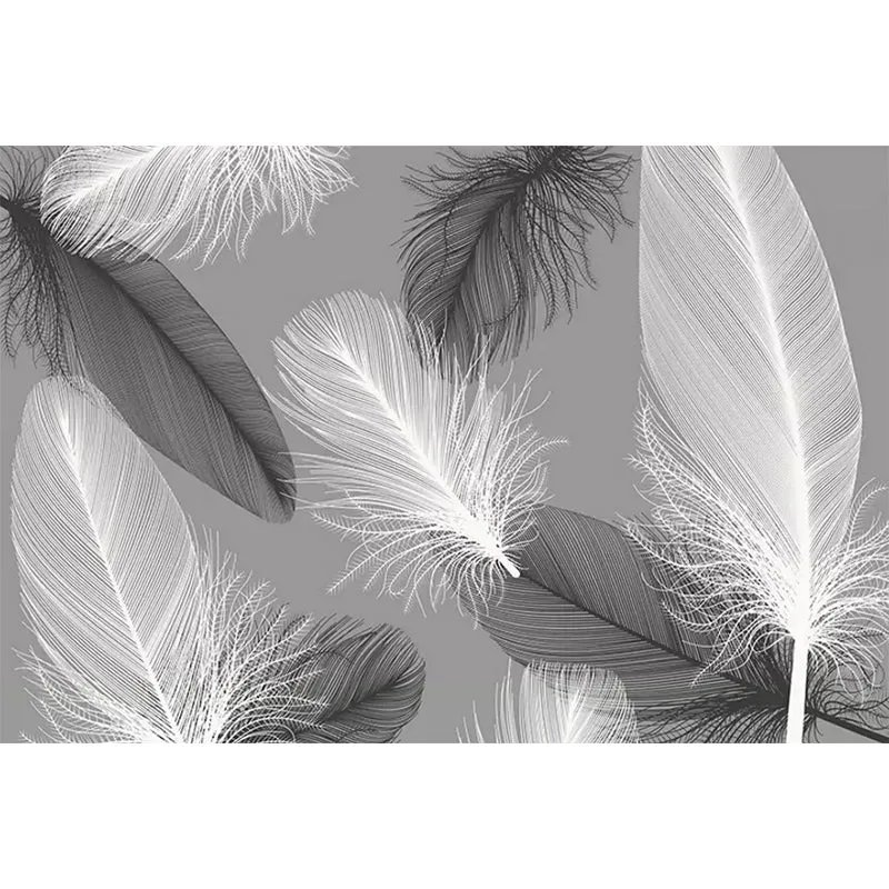 Ganze Feder-Wandbild für Wohnzimmer, Fantasy-Textur-Wandkunst Grau, schmutzabweisend Clearhalo