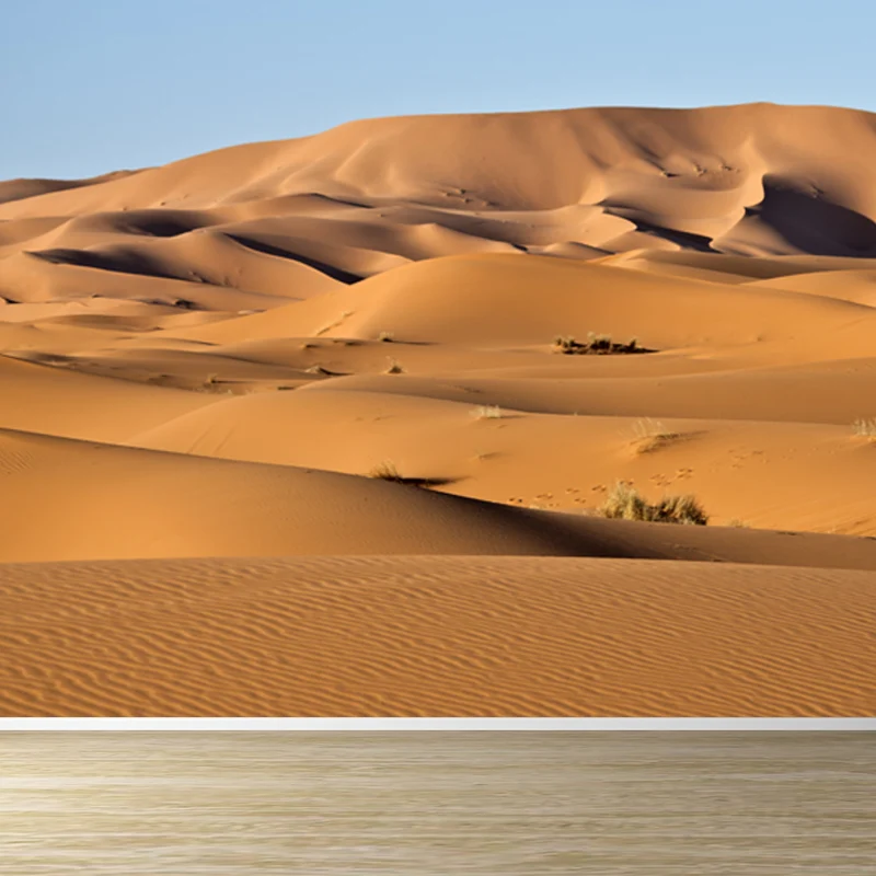 Gelbe Naturlandschaftswandgemälde, Gras- und Sandwüstenlandschaft, moderne, wasserdichte Wandverkleidung Clearhalo