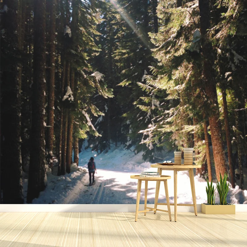 Grüne, moderne Tapete Originalgröße, Spaziergang im verschneiten Kiefernwald mit Sonnenschein, Wandkunst für den Flur Clea...