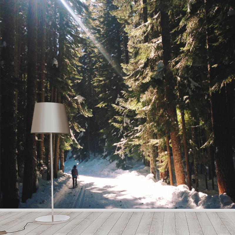 Grüne, moderne Tapete Originalgröße, Spaziergang im verschneiten Kiefernwald mit Sonnenschein, Wandkunst für den Flur Clea...