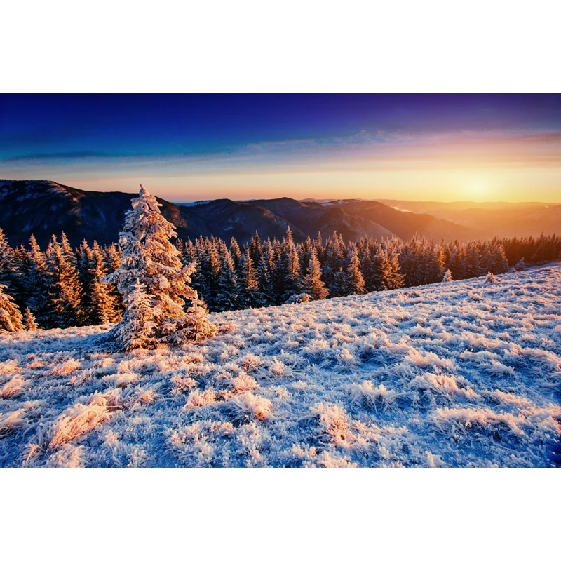 Orangefarbenes Wandbild mit Blick auf den Sonnenuntergang, Luftaufnahme des Winterwaldes, modernes, waschbares Wanddekor C...
