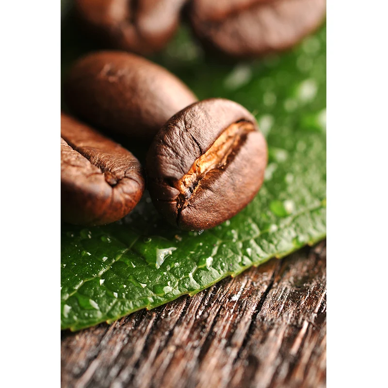 Pastellfarbener Kaffeebohnen-Wandaufkleber zur Dekoration moderner Wohnzimmer-Wanddekoration Clearhalo
