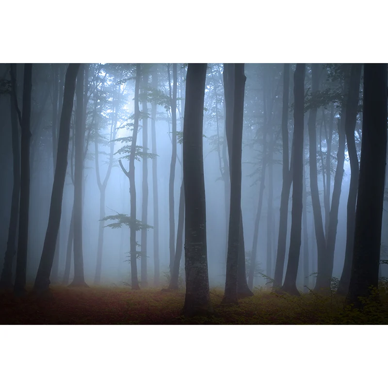 Zeitgenössischer Wandaufkleber im nebligen Wald Pastellfarben mit natürlicher Landschaft Clearhalo