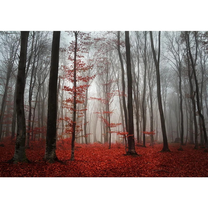 Zeitgenössischer Wandaufkleber im nebligen Wald Pastellfarben mit natürlicher Landschaft Clearhalo
