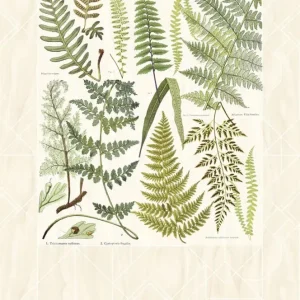 EIJFFINGER Geonature 366102