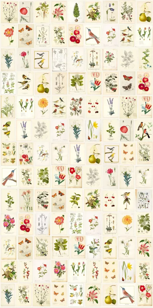 EIJFFINGER Pip Studio III 341086