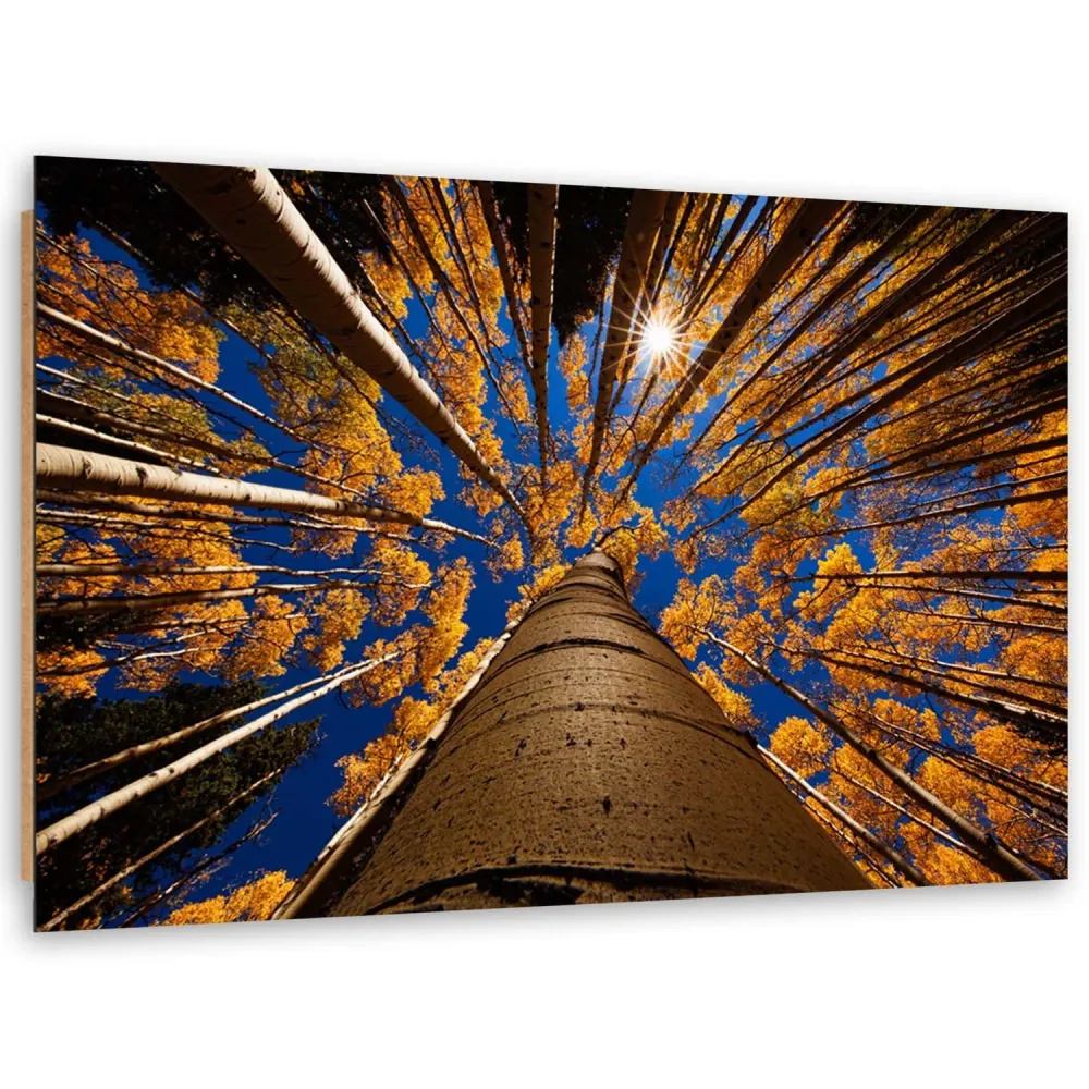 Art-déco-Paneldruck, Baumkronen 100x70 Feeby