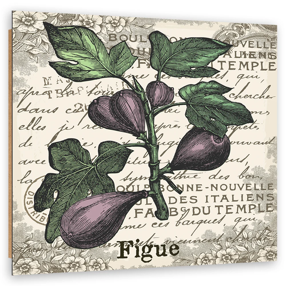 Art-déco-Paneldruck, Feigen Vintage 30x30 Feeby