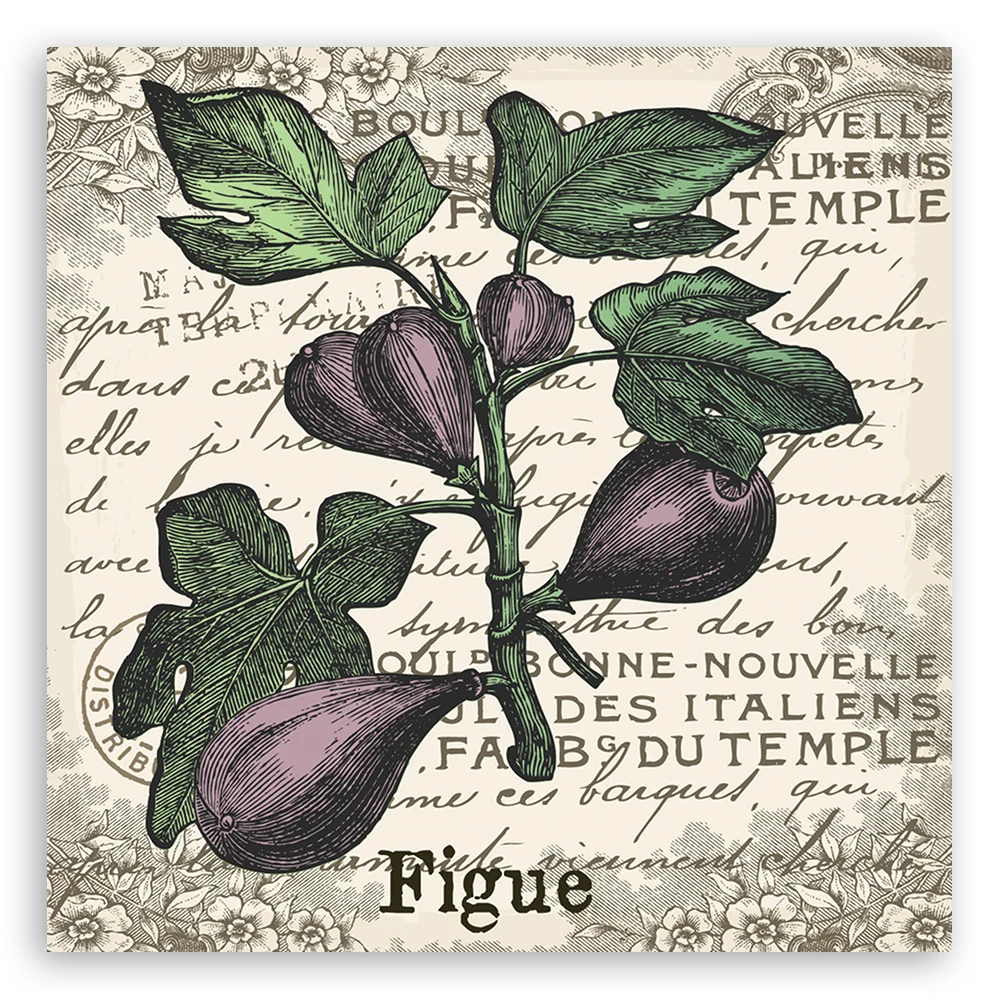 Art-déco-Paneldruck, Feigen Vintage 30x30 Feeby