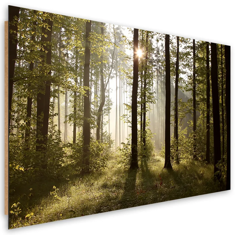 Art-déco-Paneldruck, Morgen im Wald 60x40 Feeby