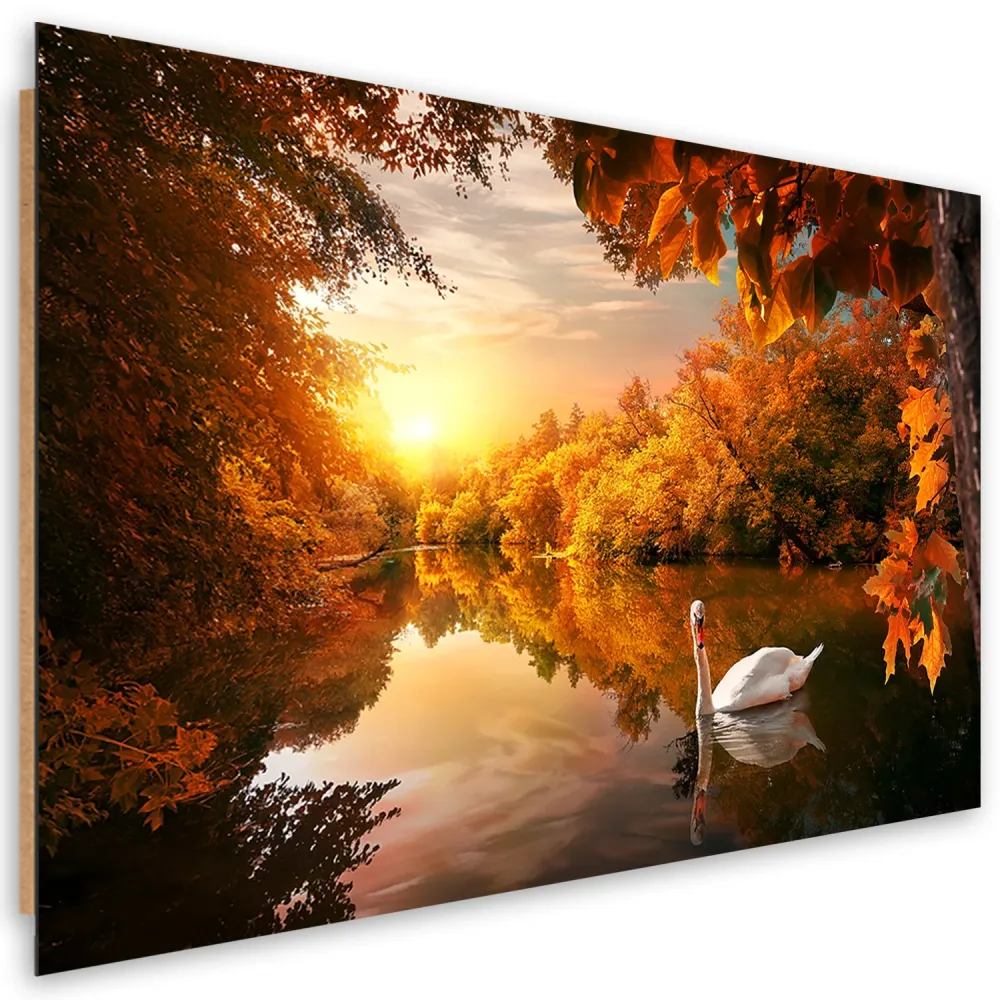 Art-déco-Paneldruck, Schwan auf dem Teich im Herbst 60x40 Feeby