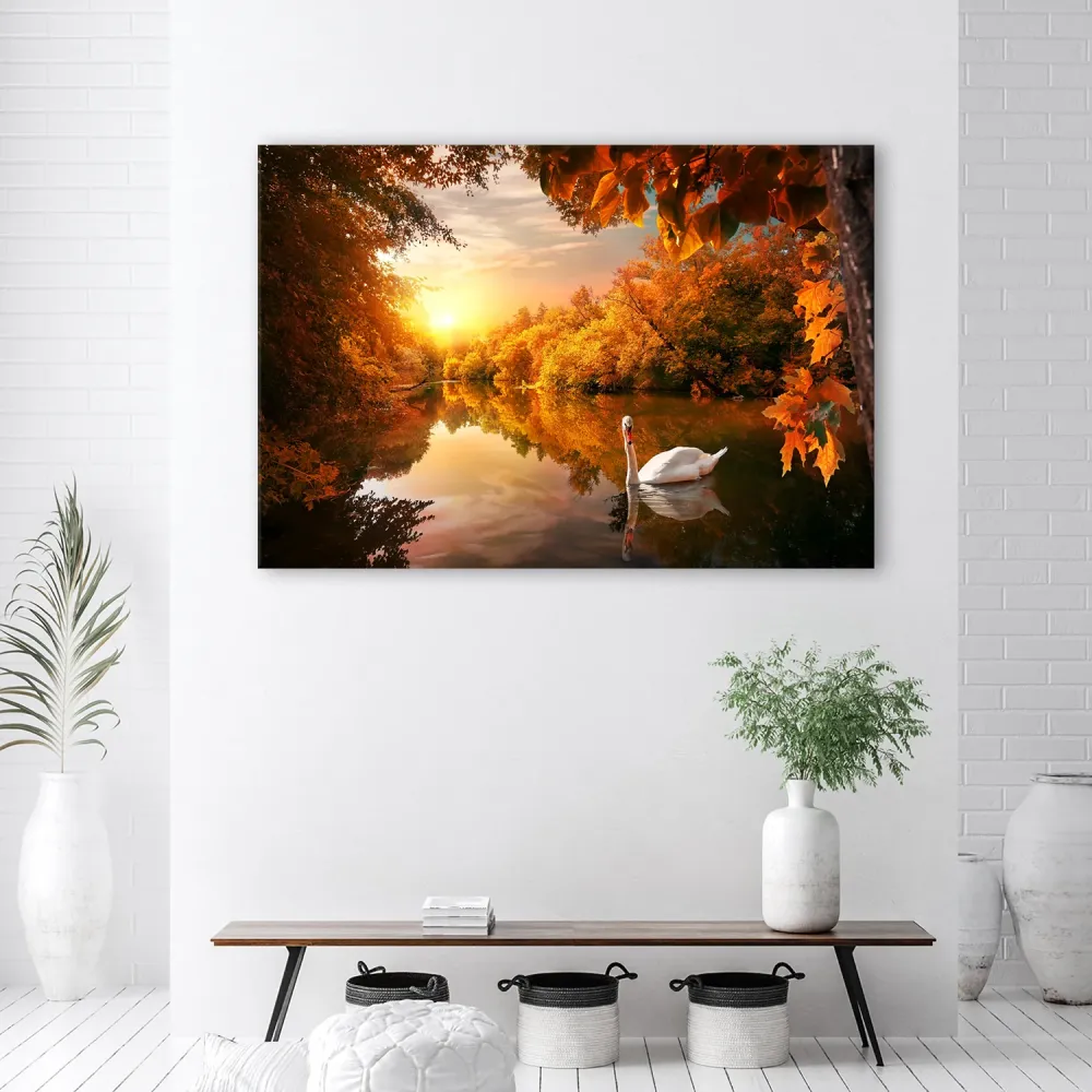 Art-déco-Paneldruck, Schwan auf dem Teich im Herbst 60x40 Feeby