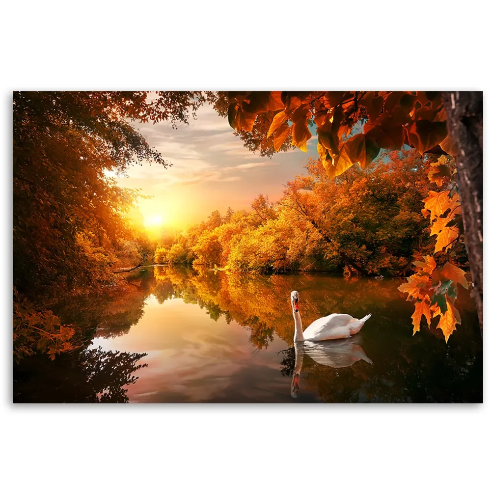 Art-déco-Paneldruck, Schwan auf dem Teich im Herbst 60x40 Feeby