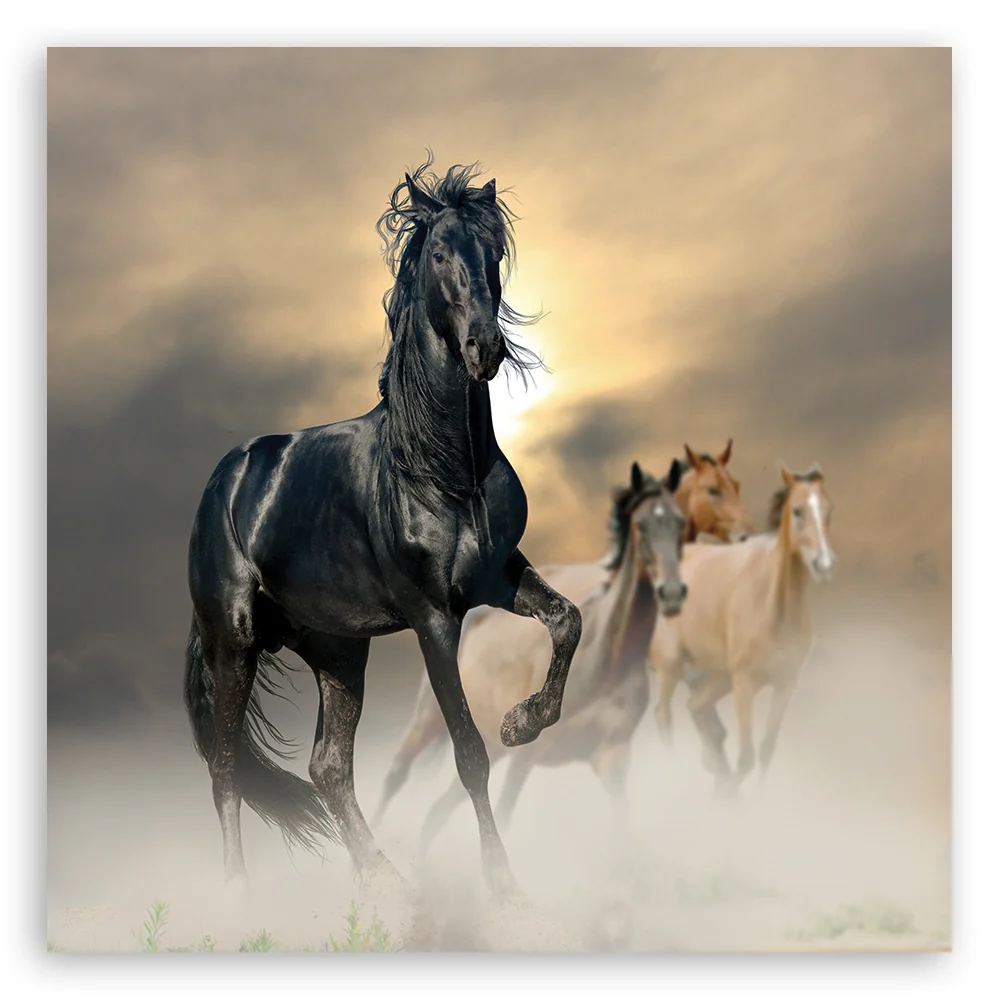 Art-déco-Tafeldruck, Pferdeherde 30x30 Feeby