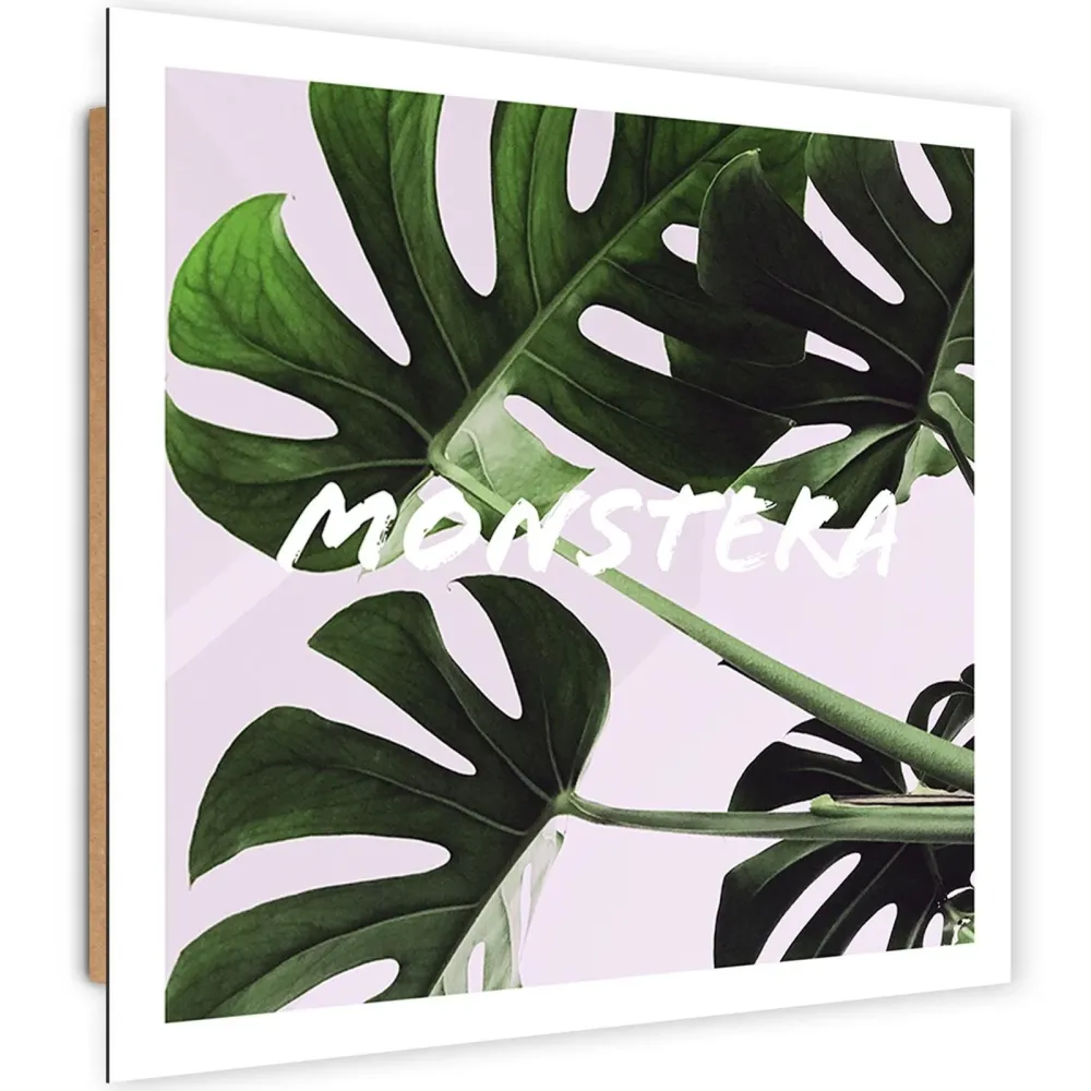 Dekorativer Paneeldruck, Exotische Blätter – Monstera 30x30 Feeby