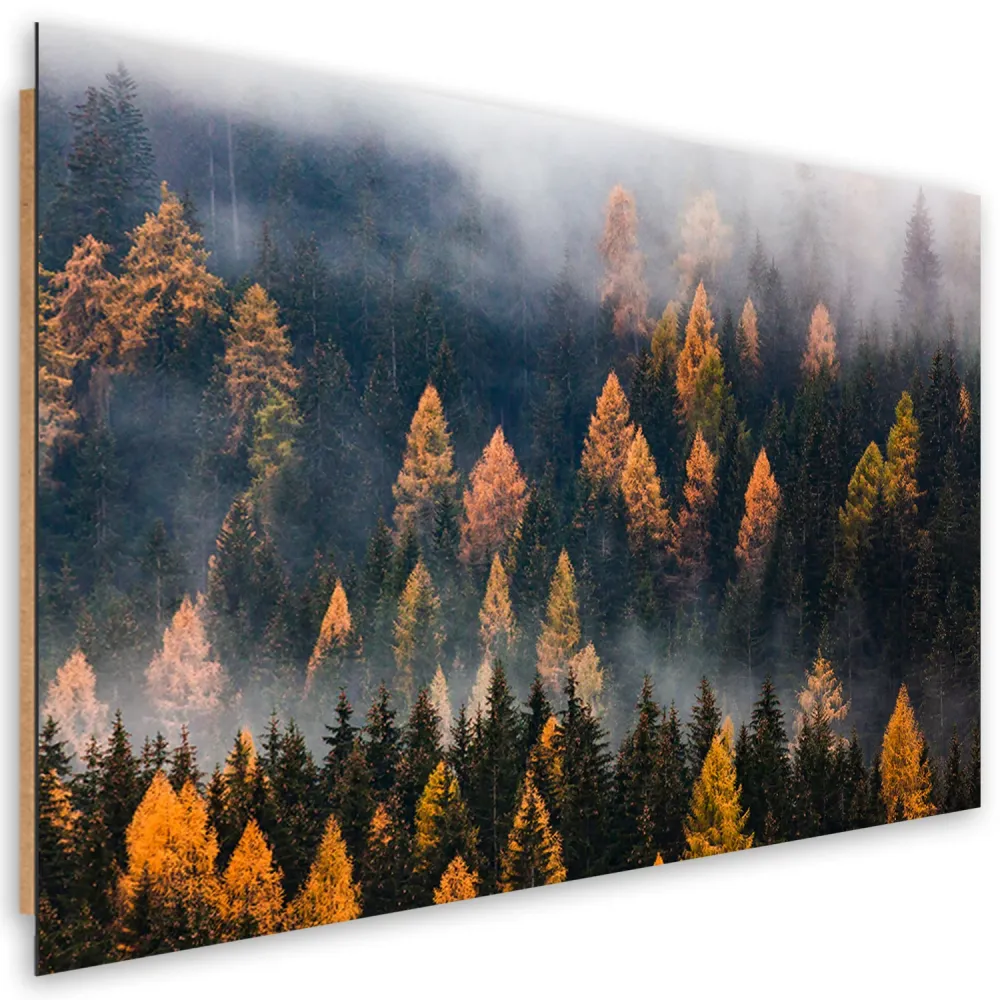 Dekorativer Paneeldruck, Herbstbaumlandschaft 60x40 Feeby