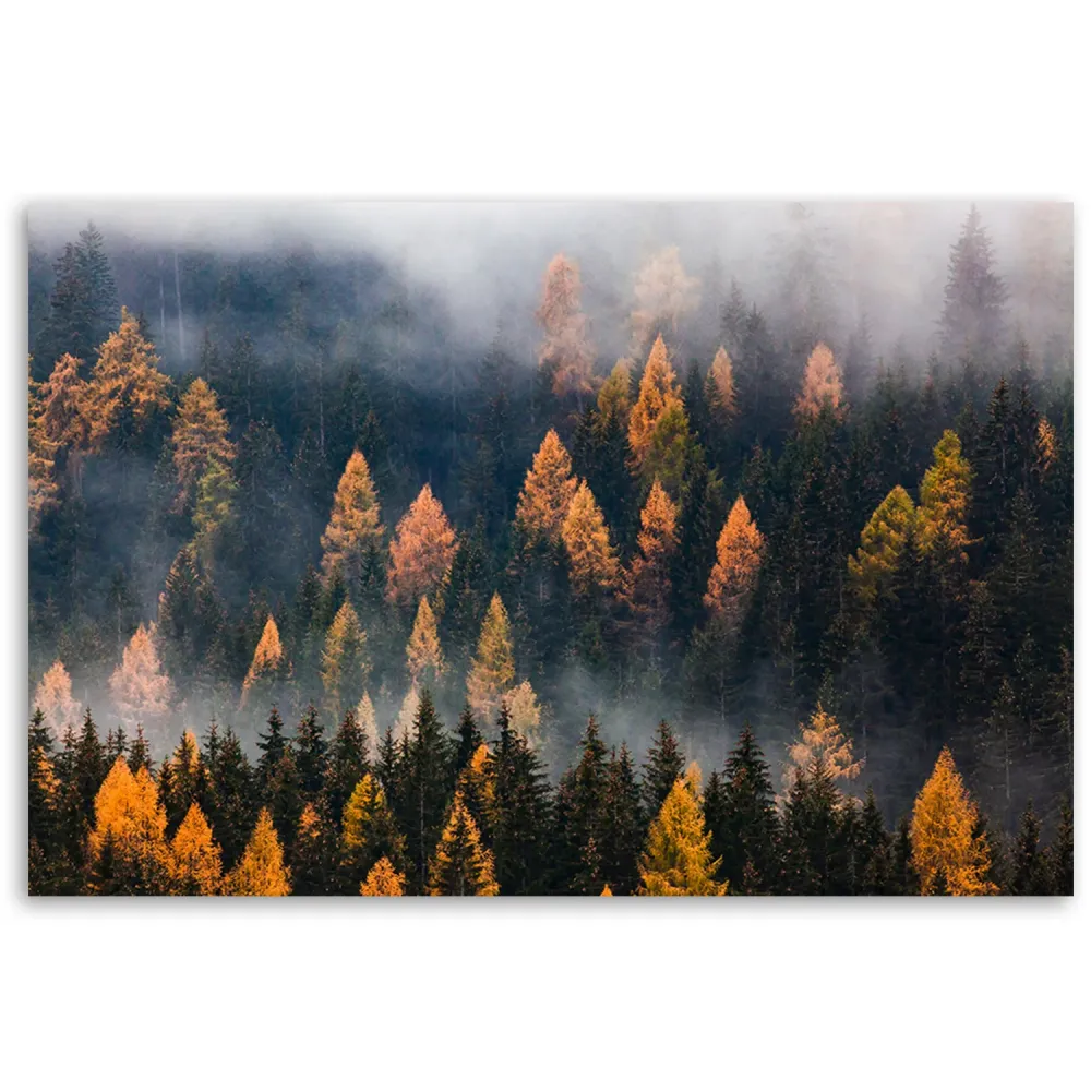 Dekorativer Paneeldruck, Herbstbaumlandschaft 60x40 Feeby