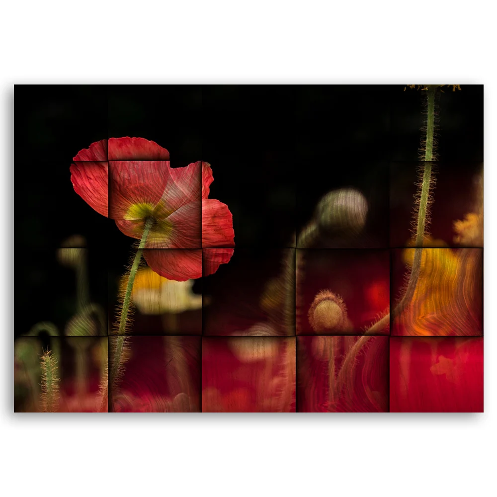 Dekorativer Paneeldruck, rote Mohnblume 60x40 Feeby