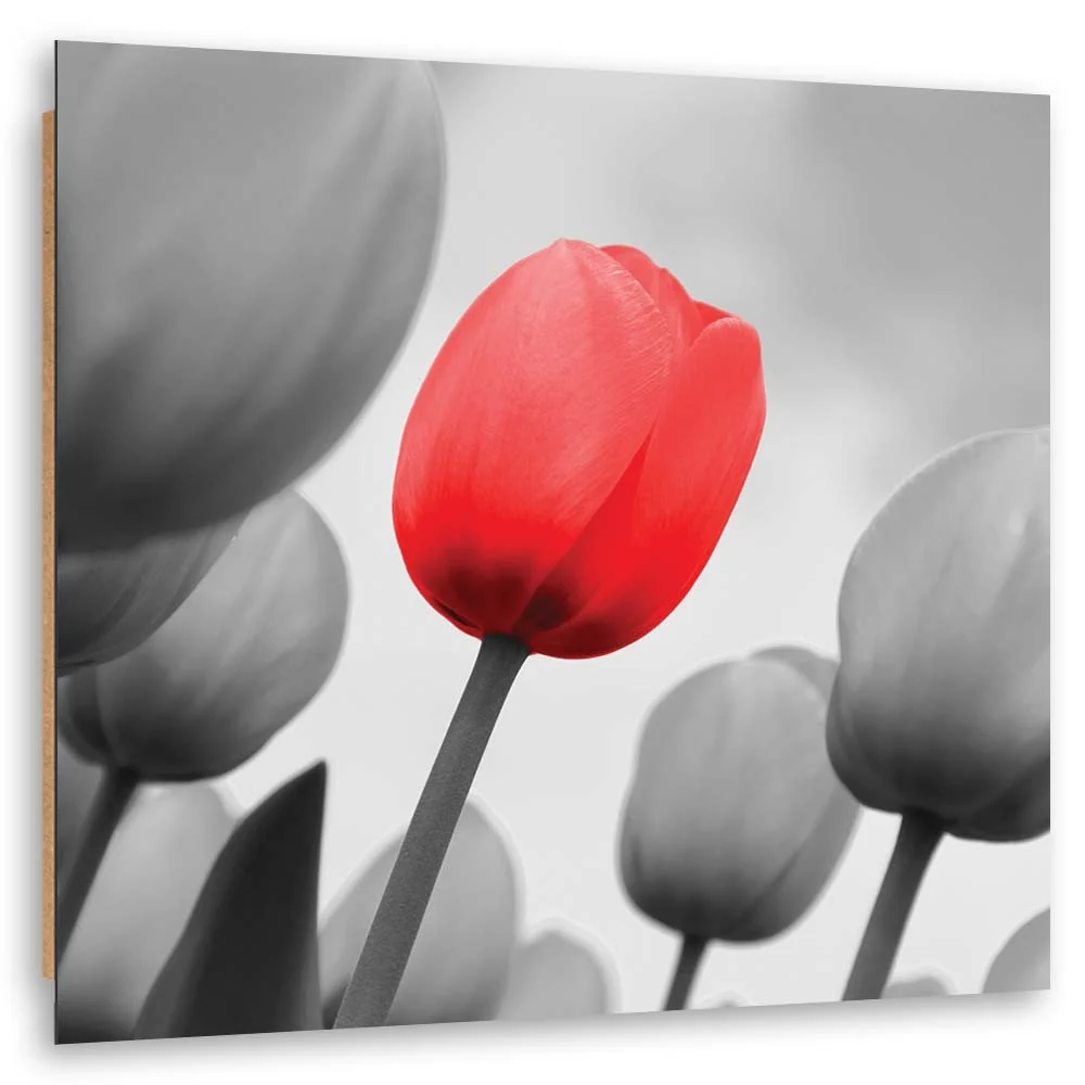 Dekorativer Paneeldruck, rote Tulpe Grau 30x30 Feeby