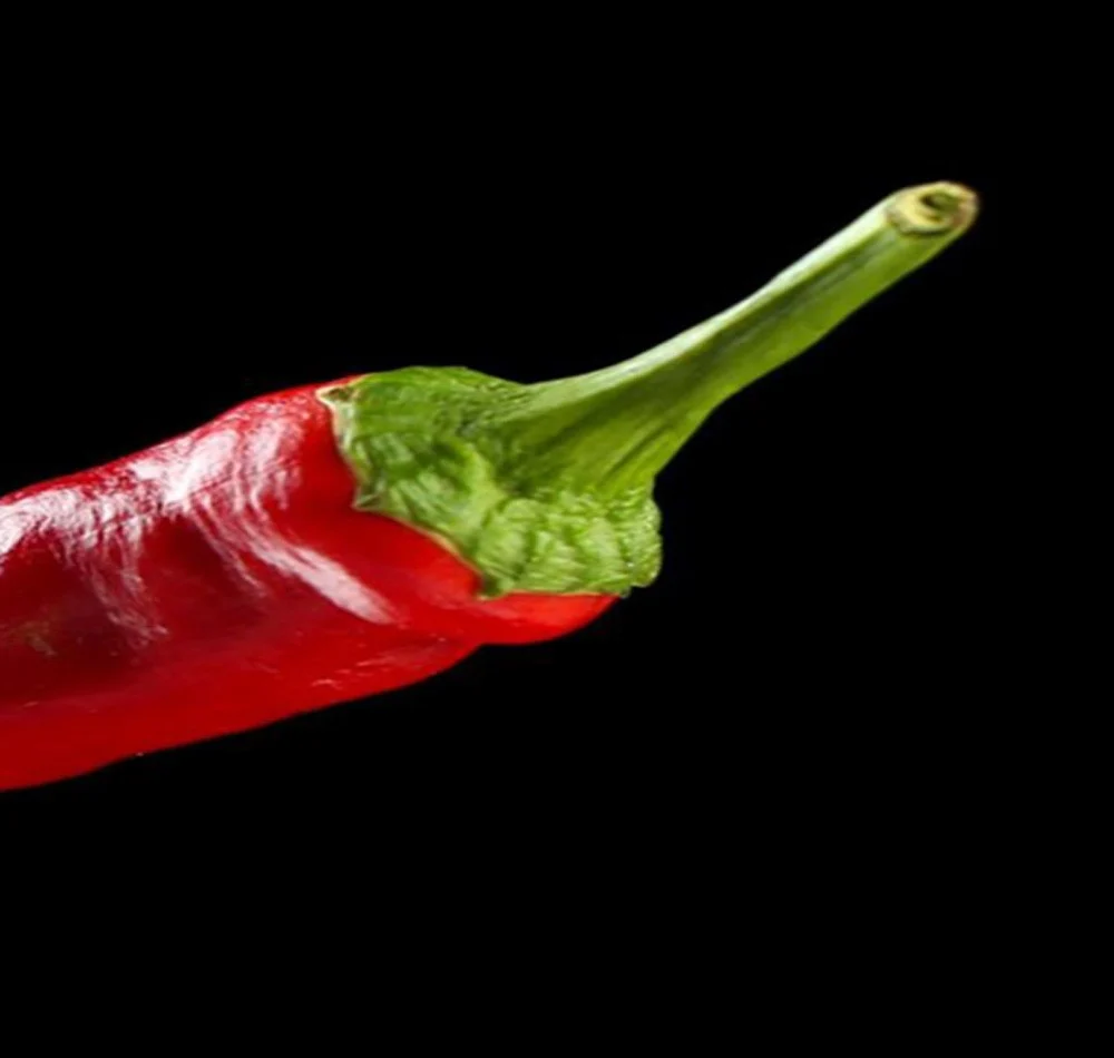 Doppelseitiger Raumteiler, Chilischoten auf einer Gabel Feeby