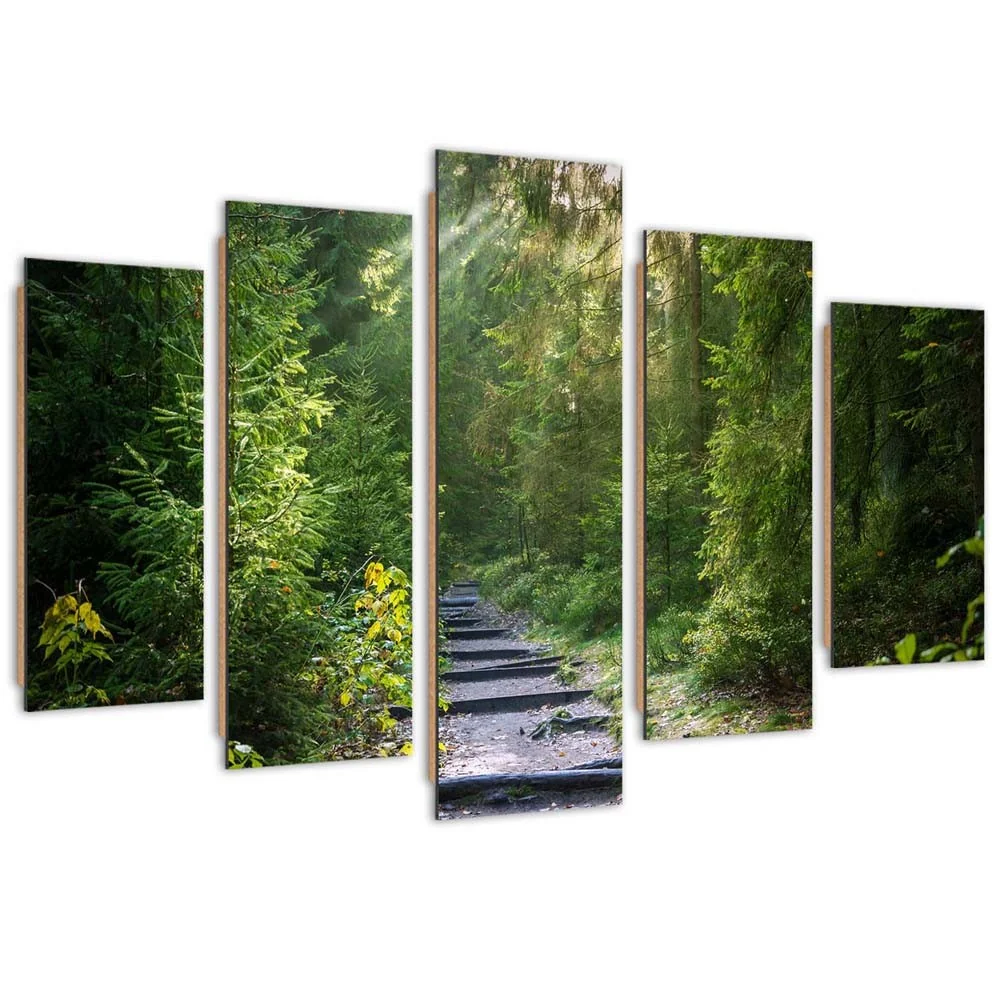 Fünfteiliges Bilder-Dekor-Panel, Pfad einem grünen Wald 100x70 Feeby