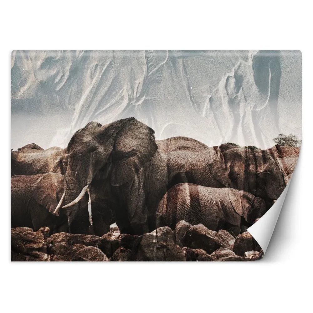 Hintergrundbild, Elefanten, Afrika, Tierwelt, Natur 100x70 Feeby