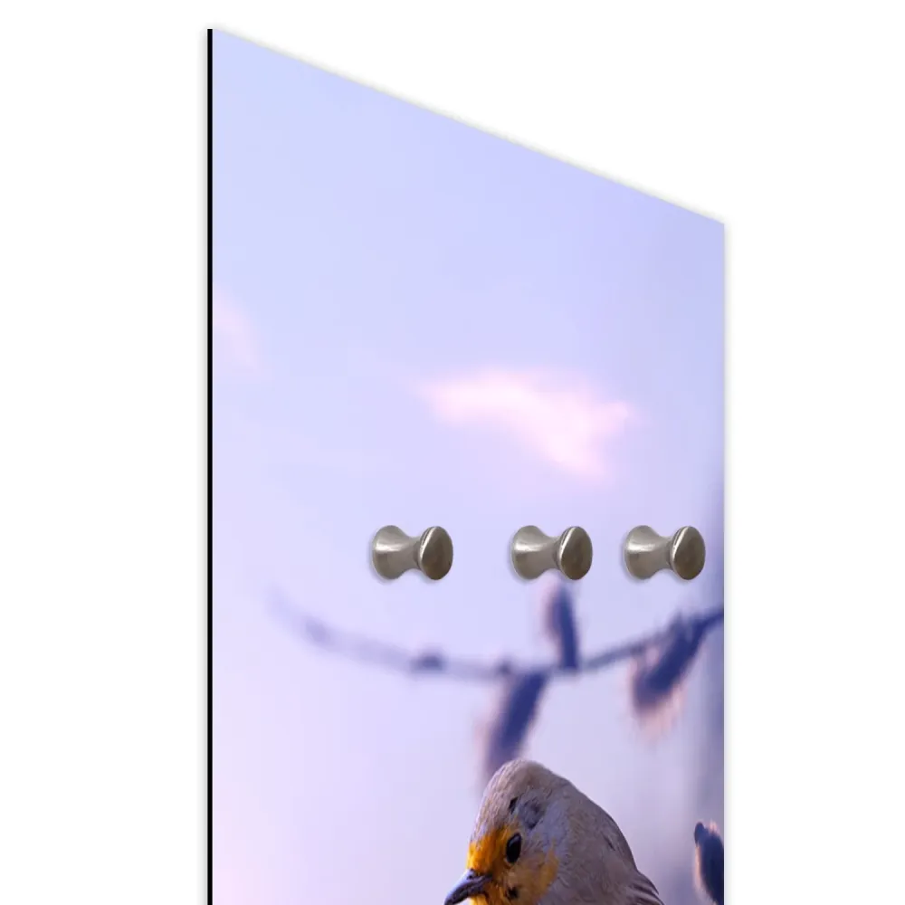 Kleiderbügel, Vogel auf einem Ast 25x70 Feeby