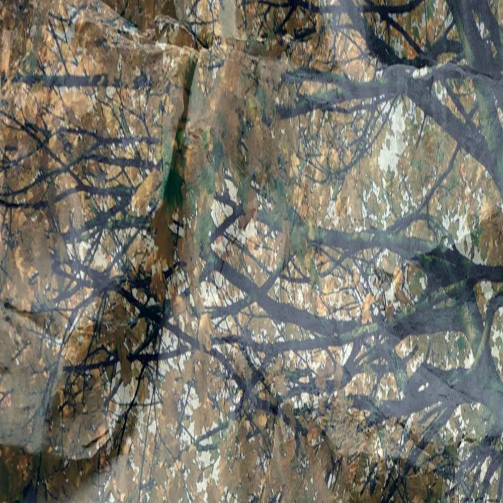 Raumteiler, doppelseitig drehbar, der geheimnisvolle Baum Feeby