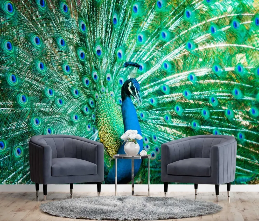 Tapete, bunte Vögel, Pfau, Natur 100x70 Feeby