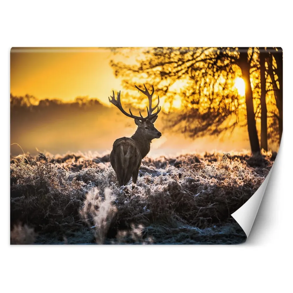 Tapete, Hirsch im Nebel 100x70 Feeby