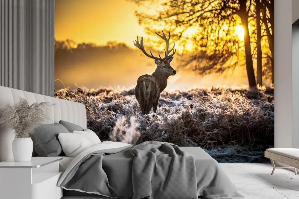 Tapete, Hirsch im Nebel 100x70 Feeby