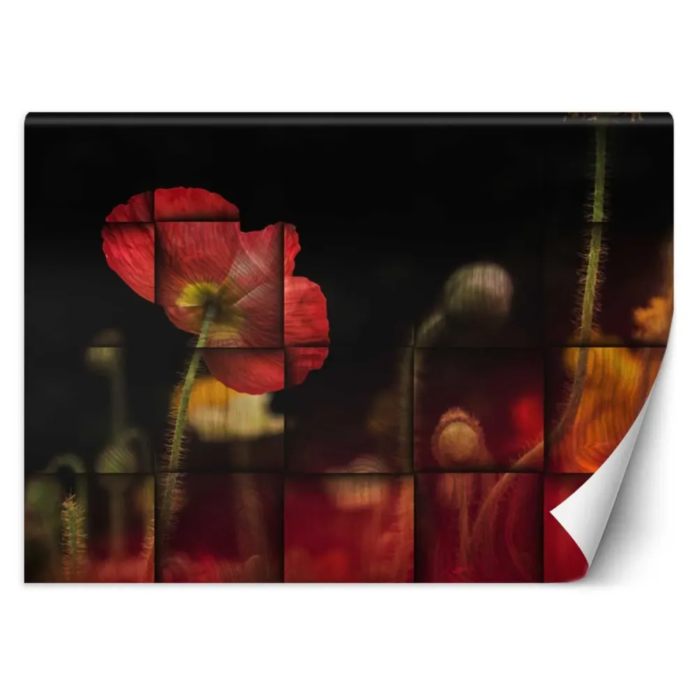 Tapete, Rote Mohnblume 100x70 Feeby