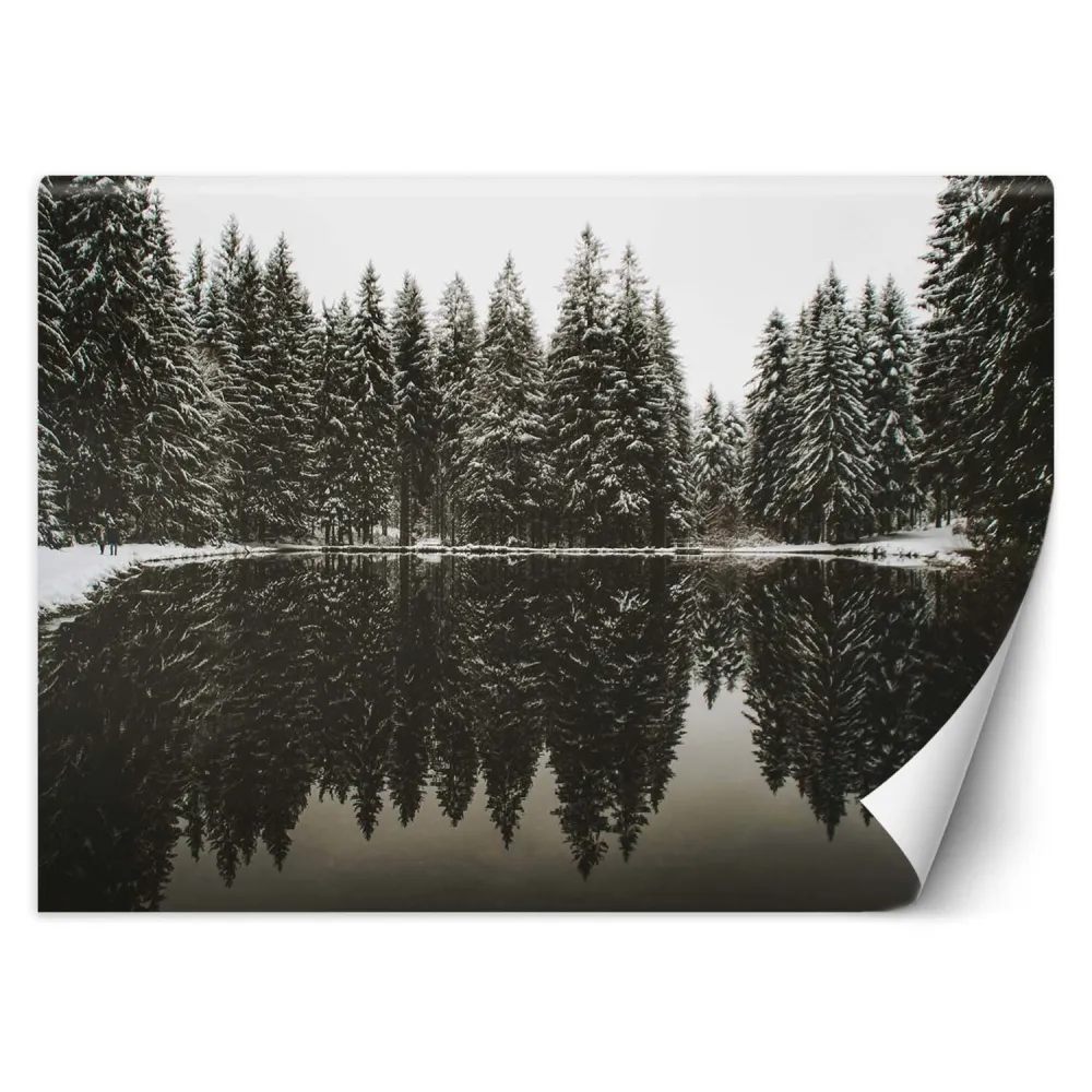 Tapete, See im Wald im Winter 100x70 Feeby