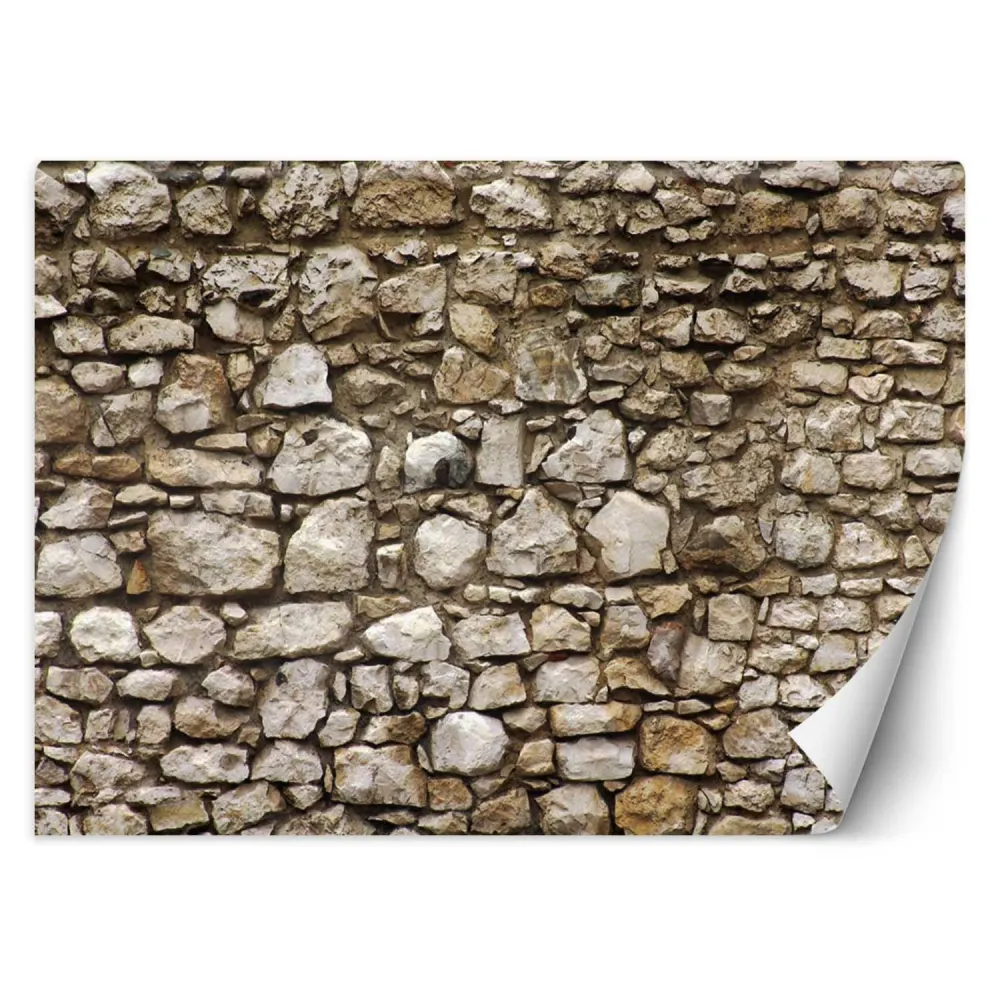 Tapete, Steinoptik-Wand, Steinwand 3D 100x70 Feeby