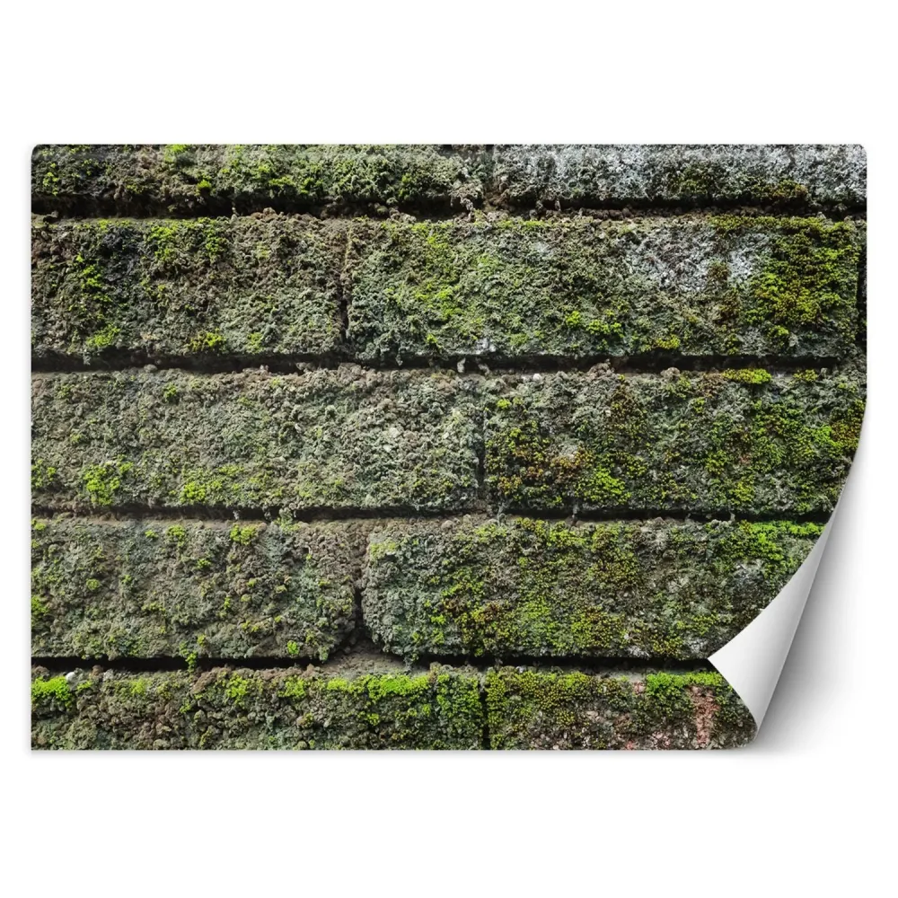 Tapete, Vintage-Ziegelwand 100x70 Feeby