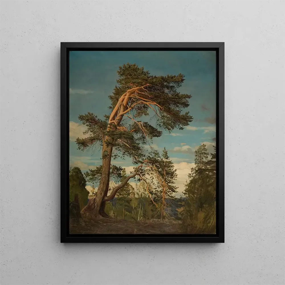 Gemälde Alte Kiefer Pire Setesdal - Amaldus Nielsen | Kunstdruck