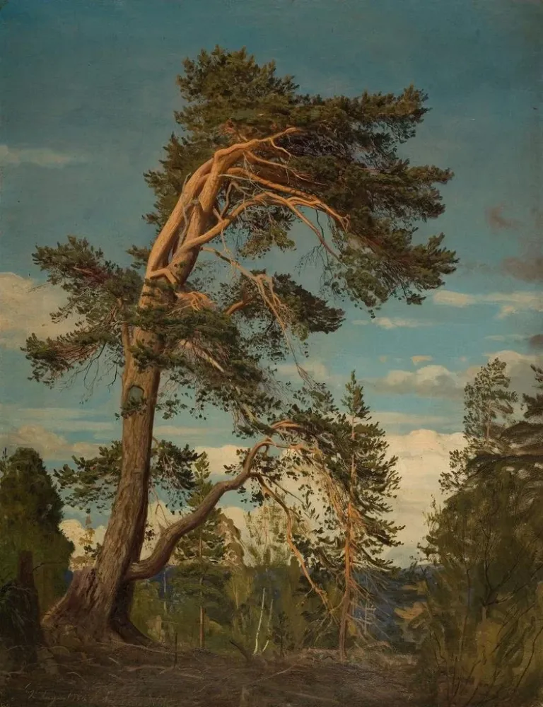 Gemälde Alte Kiefer Pire Setesdal - Amaldus Nielsen | Kunstdruck