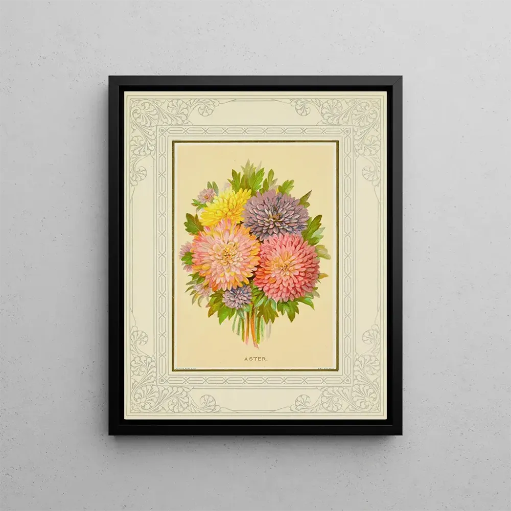 Gemälde Aster - Marcus Ward & Co. | Kunstdruck