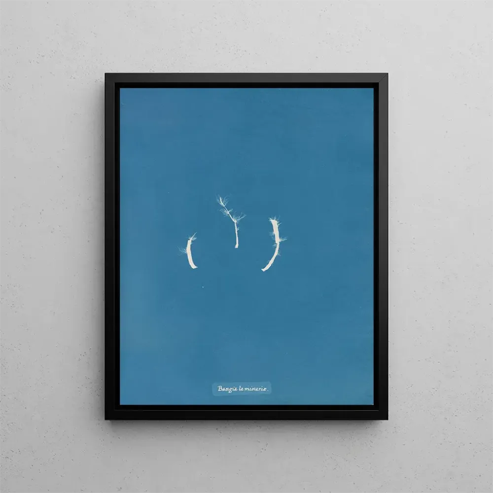 Gemälde Bangia laminariae - Anna Atkins | Kunstdruck